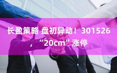 长盈策略 盘初异动！301526，“20cm”涨停