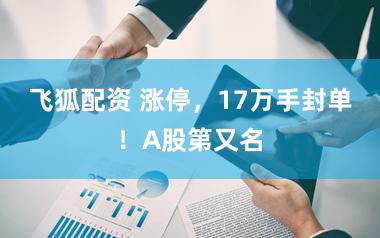 飞狐配资 涨停，17万手封单！A股第又名