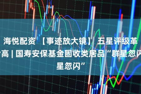 海悦配资 【事迹放大镜】 五星评级革命高 | 国寿安保基金固收类居品“群星忽闪”