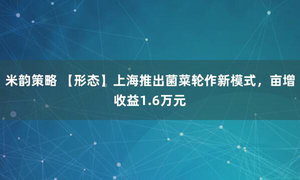 米韵策略 【形态】上海推出菌菜轮作新模式，亩增收益1.6万元