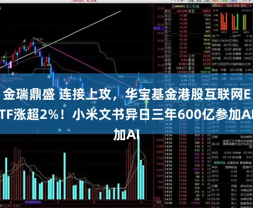 金瑞鼎盛 连接上攻，华宝基金港股互联网ETF涨超2%！小米文书异日三年600亿参加AI