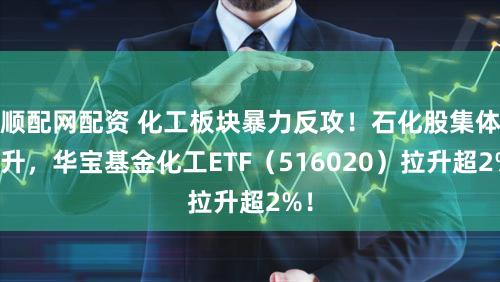 顺配网配资 化工板块暴力反攻！石化股集体飙升，华宝基金化工ETF（516020）拉升超2%！