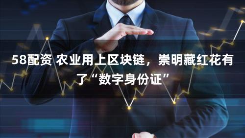 58配资 农业用上区块链,崇明藏红花有了“数字身份证”