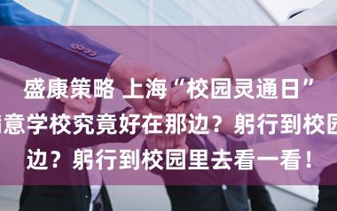 盛康策略 上海“校园灵通日”暖心启幕:满意学校究竟好在那边?躬行到校园里去看一看!