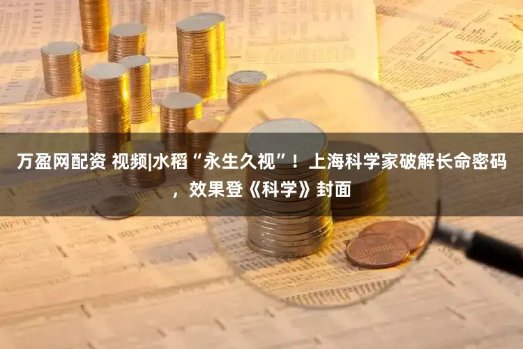 万盈网配资 视频|水稻“永生久视”！上海科学家破解长命密码，效果登《科学》封面