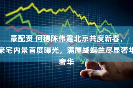 豪配资 何穗陈伟霆北京共度新春，豪宅内景首度曝光，满屋蝴蝶兰尽显奢华